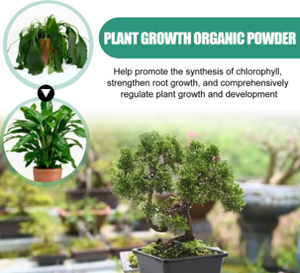 Poudre organique de croissance plus rapide des plantes 100% Booster de racine naturel et <span class=keywords><strong>engrais</strong></span> favorise les racines et les boutures Poudre nutritionnelle d'enracinement des plantes - Product Image 4