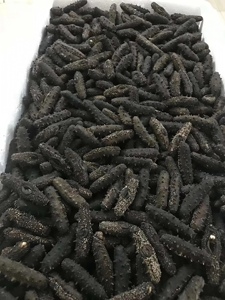 Concombre de mer séché au sel de haute qualité 500g, texturé, à quatre faces, stimulant l'immunité, stockage congelé pour la gastronomie et les aliments santé - Product Image 2