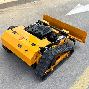 Epa Ce Gecertificeerde Draadloze Grasmaaier Duwschop Zelfrijdende Weeder Robot Sneeuwschepper Met 4-taktfunctie - Product Image 3