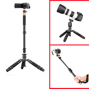 QZSD Trípode Mini Q166A 21,8 ''Soporte de trípode móvil 17.6lb Carga Dslr Cámara digital Aluminio Pequeño trípode <span class=keywords><strong>Mejor</strong></span> precio - Product Image 6