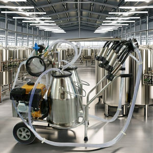 Nueva máquina de ordeño de vacas usada Bangladesh Melasty Home Farm Bomba de vacío Bomba de motor de alta eficiencia Repuestos Componentes centrales - Product Image 2