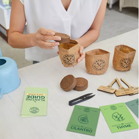Vente en gros de kit de démarrage miniature pour jardin d'herbes d'intérieur Jardinière de style champêtre pour enfants Cadeau parfait pour la culture de plantes pour enfants