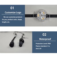 HRSYT DC24V Tira de Luces LED Inteligentes Decorativas para Exteriores de Navidad, RGBW LED RGB, Fuente de Luz Puntual Permanente