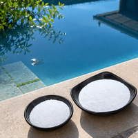 Chlorinateur de piscine à l'acide cyanurique SS0922 pour piscine, entrepôt américain