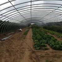 Serre tunnel agricole à portée unique grande taille pour culture de légumes, à faible coût, avec couverture en plaques PC, marque YanPeng - Offre Spéciale