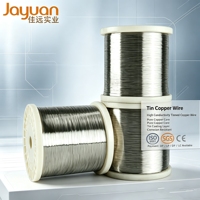 Fil de cuivre étamé de haute qualité 0,51 mm pour applications électriques et électroniques