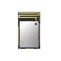 Módulo Bluetooth MinewSemi MS44SF11 NRF52820, Transmisión de Larga Distancia de 600m, Antena PCB, Módulo Inalámbrico BLE con 256KB de Memoria Flash