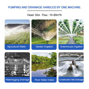 Pompe centrifuge auto-amorçante diesel, pompe à eau diesel 2 pouces pour l'irrigation au goutte-à-goutte des vergers et l'irrigation par aspersion - Product Image 6