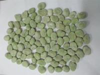 Haricots verts pelés surgelés IQF de qualité supérieure, certifiés HACCP, 10 kg/carton, légumes surgelés naturels de haute qualité pour la transformation alimentaire