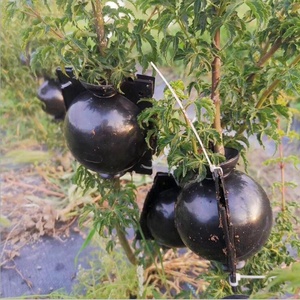 Pots biodégradables à coupe assistée, propagateur de plantes réutilisable, greffage de jardin, dispositif d'enracinement des plantes - Product Image 2