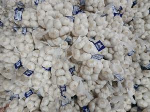 Yüksek kaliteli taze çin sarımsak saf beyaz siyah tatlı Pelled Genger toptan ucuz ihracatçı ithalatçı - Product Image 4