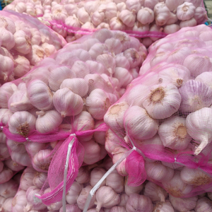 Nueva cosecha de Ajo Blanco de China Fresh Alho Ajo al por mayor-Fabricado por suministro - Product Image 1
