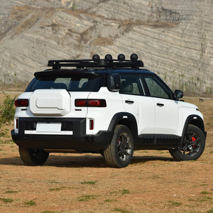 Geely Cowboy Wild Edition, SUV essence, véhicule Geely Cowboy, SUV 5 places, essence, tout-terrain, haute vitesse, voitures neuves - Product Image 4