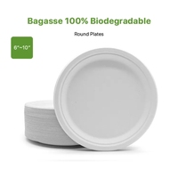 Assiettes jetables en bagasse compostables, 50 pièces, grand format, écologiques, pour traiteur, fêtes et événements