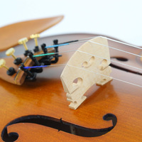 High Quality Wholesale Professional Germany Stradivari Handmade 4/4 Violin Accessories Includes Rosin Shoulder Rest Steel