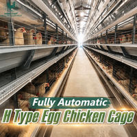 Équipement clé en main pour ferme avicole : Cage à poules pondeuses automatique de type H, système de batterie, structure en acier