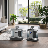 Aspirateur de nettoyage de tapis domestique électrique de grande capacité de qualité personnalisée pour la décoration intérieure