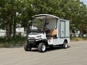 Carrito de Golf de 2 Plazas con Batería de Litio y Chasis de Aluminio para Uso en Limpieza y Transporte - Product Image 1