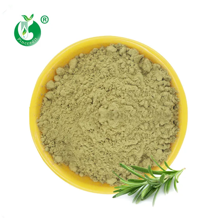 5% 20% 25% 60% Natural Bulk Rosemary Extract Powder Carnosic Acid
