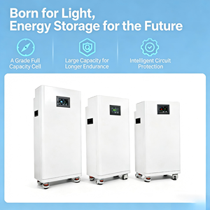 แบตเตอรี่กักเก็บพลังงานแสงอาทิตย์ LiFePO4 51.2V 10-20Kw แบบติดตั้งบนชั้นวาง ระบบไฮบริดกริด ความจุขนาดใหญ่ ใช้งานได้ยาวนาน เป็นมิตรต่อสิ่งแวดล้อม - Product Image 3