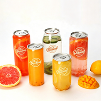 Bouteille de café transparente en plastique PET de 250 ml, 330 ml, 500 ml, 650 ml, gobelet en plastique, canette de soda avec logo personnalisé