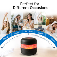 Diffuseur d'arômes portable 200 ml USB en plastique écologique pour hôtel et usage domestique, garantie centrale 1 an