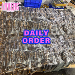 Vente en Gros Perruque <span class=keywords><strong>Lace</strong></span> Frontale HD Pré-Plumée 100% Cheveux Humains Vierges Bruts, Perruque <span class=keywords><strong>Lace</strong></span> Frontale 360 Sans Colle, Perruques Full <span class=keywords><strong>Lace</strong></span> 13X6 en Cheveux Humains - Product Image 5