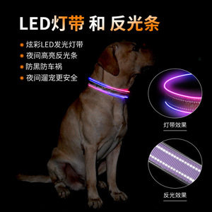 ปลอกคอสุนัขแบบมีไฟ LED พร้อมแถบสะท้อนแสง ชาร์จ USB ได้ สำหรับสุนัขขนาดเล็ก กลาง ใหญ่ - Product Image 2