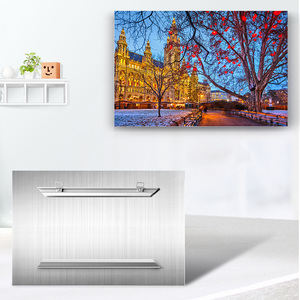 Роскошный металлический постер 12x18 и 16x24 дюймов глянцевый Серебряный атласный аниме персонажи краситель Сублимация HD металлические принты - Product Image 6