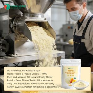 Poudre <span class=keywords><strong>de</strong></span> jus <span class=keywords><strong>de</strong></span> mangue biologique HACCP Halal, qualité alimentaire, soluble dans l'eau, 100% naturelle, saveur mangue, poudre <span class=keywords><strong>de</strong></span> mangue - Product Image 2