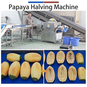 Línea de Pelado y Corte de Papaya de 1000-2000 kg/h, Máquina Peladora de Papaya de Acero Inoxidable de Grado Alimenticio - Product Image 4