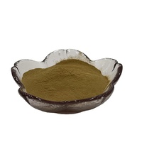 Poudre d'extrait d'olive standardisée en vrac – Polyphénols de feuille d'olive pour compléments alimentaires et cosmétiques