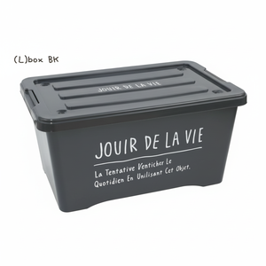 BLK Days Stock Living Box elegante scatola nera - Product Image 1