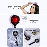Brosse de massage du cuir chevelu électrique personnalisée en gros avec EMS, thérapie par lumière rouge, applicateur d'huile et peigne de croissance capillaire