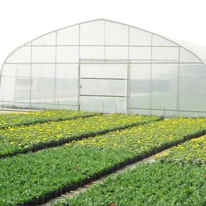 Seeweem Single Span Polytunnel serra agricoltura Invernadero Chinese Invernadero Green House strutture usate per la vendita