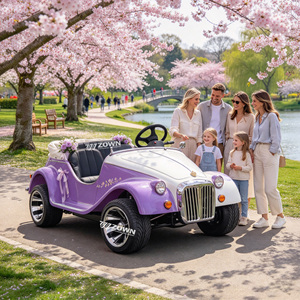 ZOWN Mini Vehículo Eléctrico Turístico Vintage de Carrocería Estrecha Aerodinámica para Transporte en Parques con Caminos Estrechos - Product Image 1