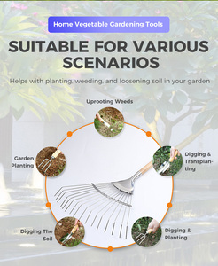 Râteau à feuilles en acier inoxydable avec manche en bois <span class=keywords><strong>de</strong></span> <span class=keywords><strong>balsa</strong></span>, outil agricole et <span class=keywords><strong>de</strong></span> jardinage extérieur, outils agricoles pour le jardinage - Product Image 5
