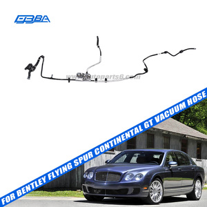 สายดูดฝุ่นรถยนต์คุณภาพสูงระดับพรีเมียม อะไหล่แท้ใหม่เอี่ยม สำหรับ Bentley Flying Spur 2009 Continental GT OE 3W1612041AG - Product Image 2