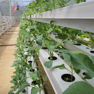 Serre sans sol pour la culture des salades Système hydroponique Tour <span class=keywords><strong>de</strong></span> haricot mungo Système hydroponique Agriculture verticale - Product Image 4