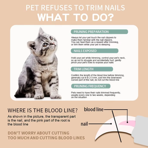 Tijeras para Uñas de Gato al por Mayor de Fábrica, Cortauñas para Perros, Cortador de Uñas para Mascotas - Product Image 5