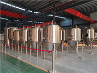 Cuve de Fermentation Hermann High Wine avec Pompe et Réservoir sous Pression 500L-10000L (Incluant les options 5000L et 2000L) Personnalisable 220v/380v Garantie 1 An