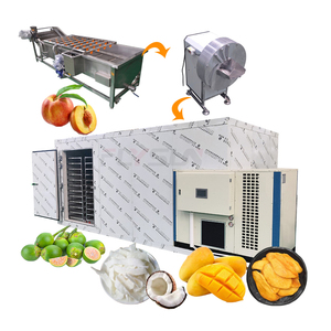 Commercial Peach Betel Nut Drying Machine Coconut Copra Drying Oven Fruit Dehydrator Equipment - Product Image 1