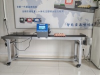 Imprimante jet d'encre pour codage sur coquille d'œuf, machine industrielle de marquage d'œufs, impression de données variables sur œufs frais pour grandes exploitations avicoles