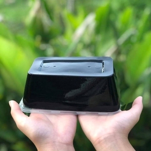 Poudre de gelée d'herbe noire personnalisable en vrac pour service OEM de marque privée – Fournisseur d'ingrédients pour desserts - Product Image 2