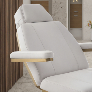 Cama de Masaje Eléctrica Profesional para Spa y Salón de Belleza, Equipo de Belleza para Salón, Dormitorio y Hotel - Hecho en China - Product Image 1