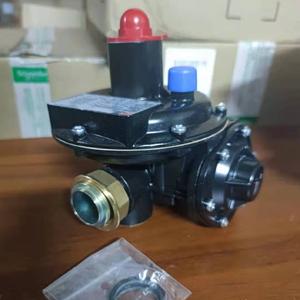 タルタリーニ FLシリーズ 精密パイロット式高圧LPGガス媒体減圧弁 ステンレス鋼バルブスキッド - Product Image 2