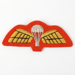 Écusson brodé à coudre en feutre, motif ailes en tissu parachute, pour chapeau, sac, vêtement, logo personnalisé - Product Image 1