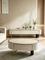 Table TV Minimaliste de Luxe avec Rangement pour Salon