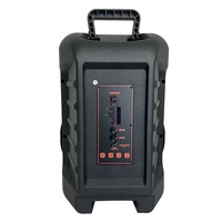 Enceinte Karaoké Portable sur Chariot, 12 Pouces, 50-100W, LED RGB, Connexion BT, TF/USB, Idéale pour le Chant en Extérieur – Vente Directe Usine
