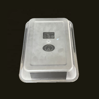 Plateau Gastronorm Rectangulaire en PET de Qualité Alimentaire à Spécifications Multiples pour Présentation Commerciale des Aliments en Cuisine Professionnelle